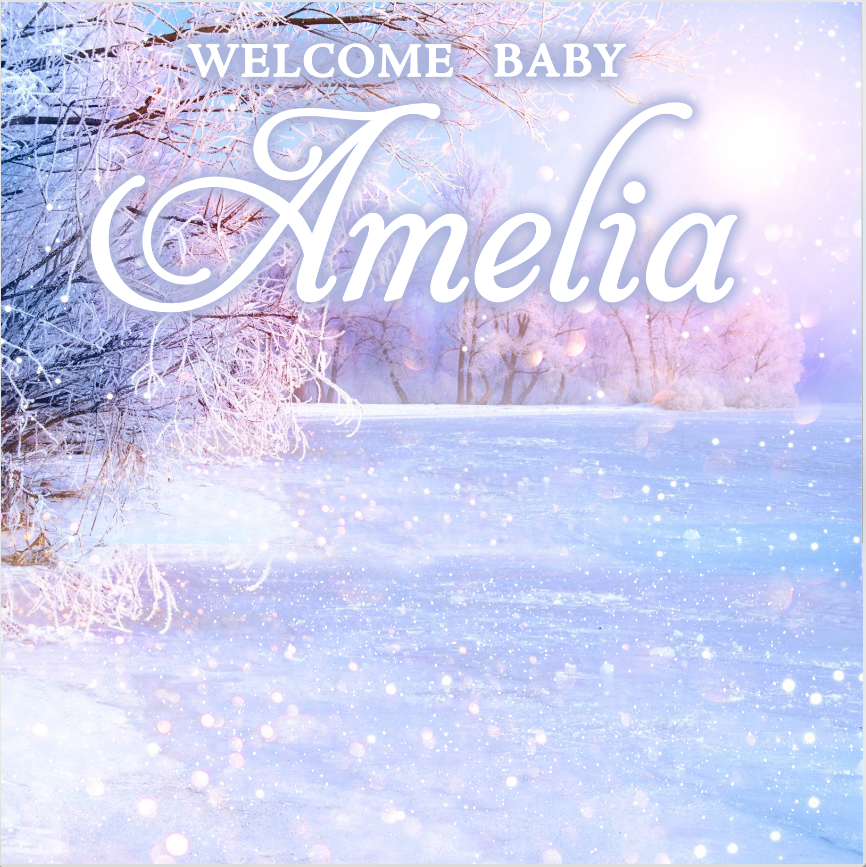 WINTER WONDERLAND BACKDROP 01 - Twins Print