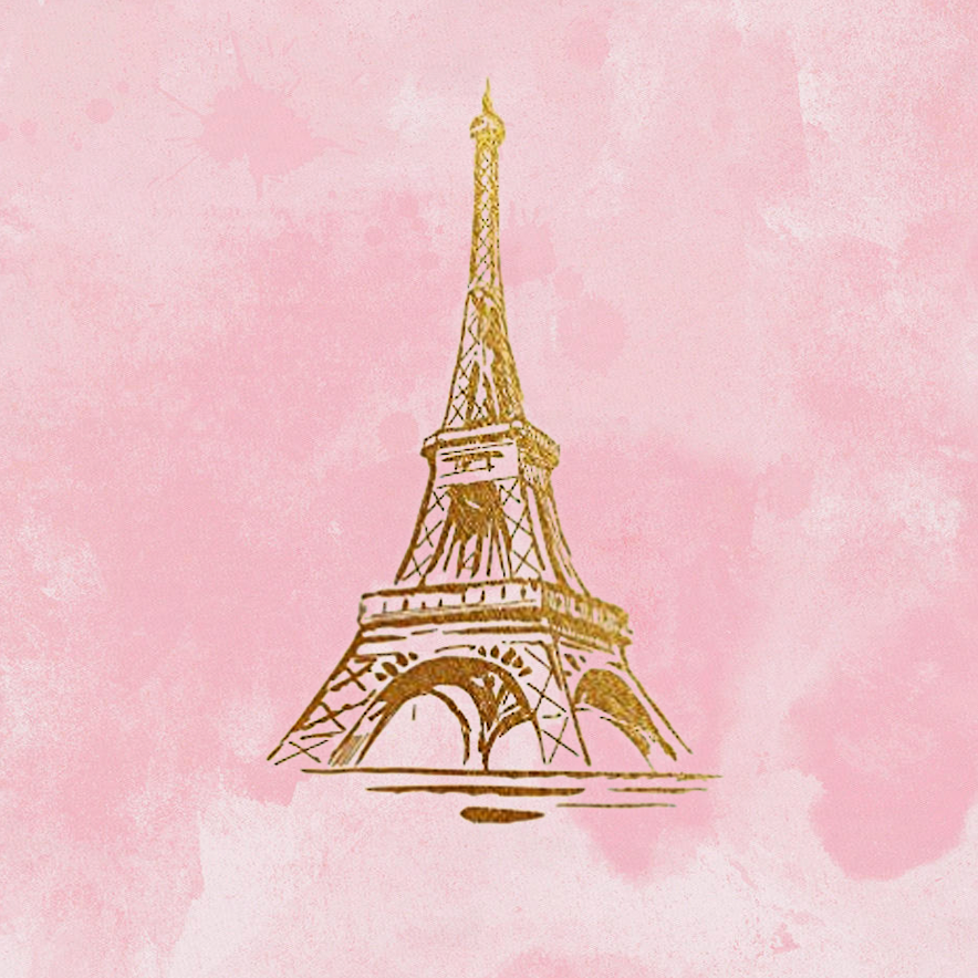 PINK PARIS BACKDROP - Twins Print