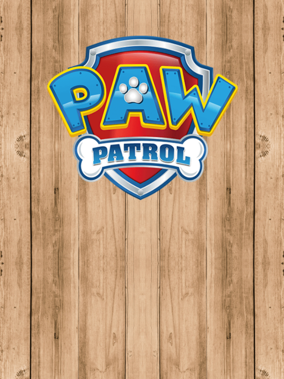 PAW PATROL 03 BACKDROP - Twins Print