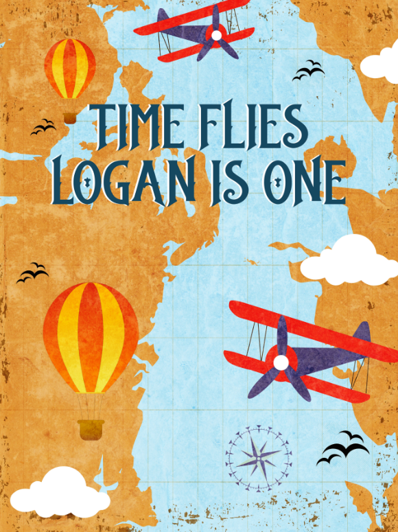 VINTAGE AIRPLANE BACKDROP - Twins Print