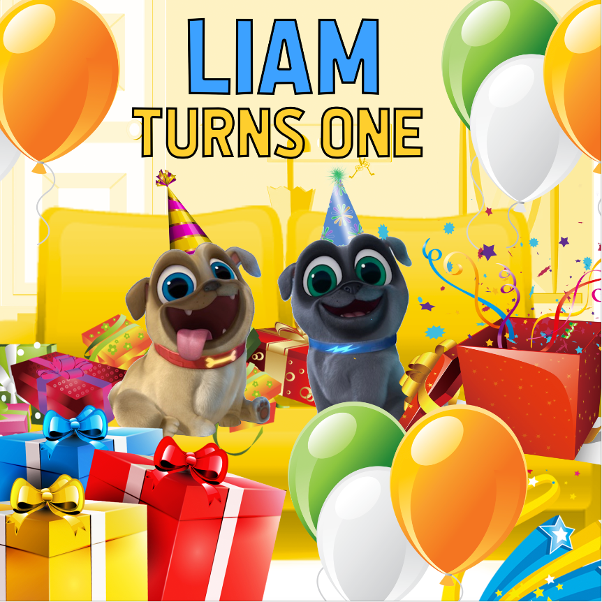 PUPPY DOG PALS BACKDROP 01 - Twins Print