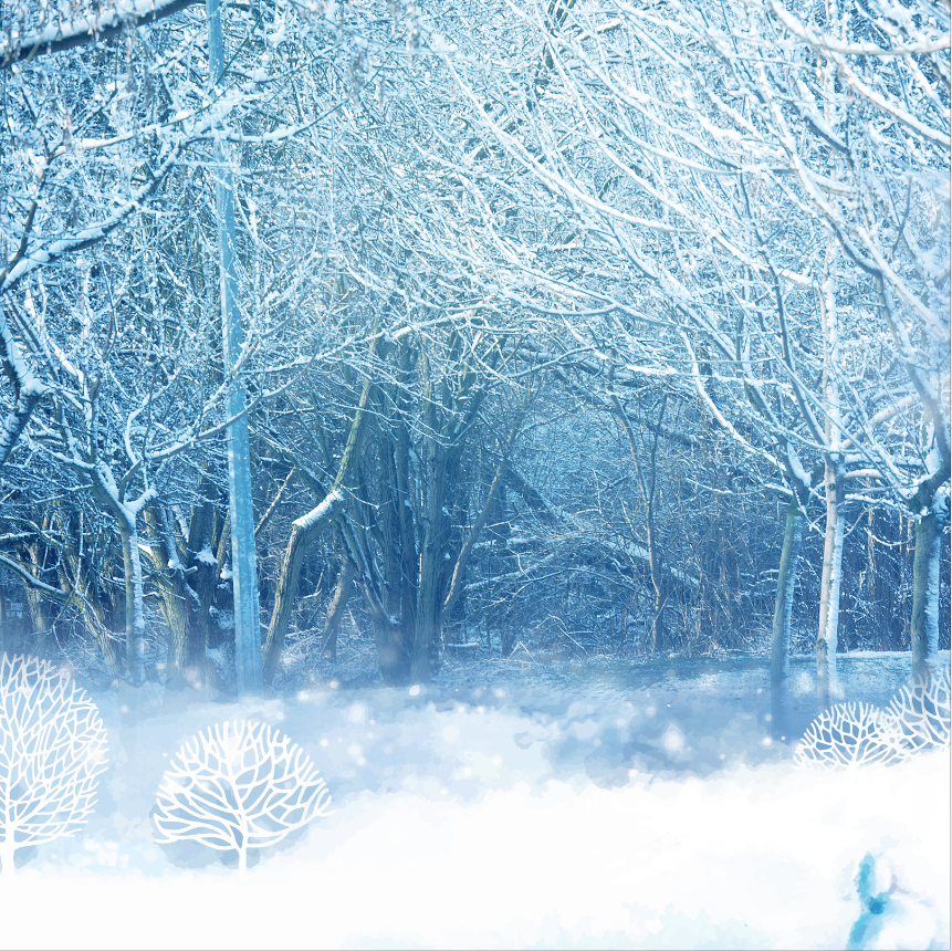 WINTER BACKDROP - Twins Print