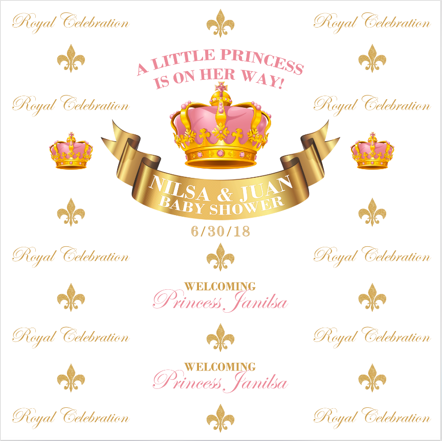 A LITTLE PRINCESS IS ON THE WAY BACKDROP - Twins Print