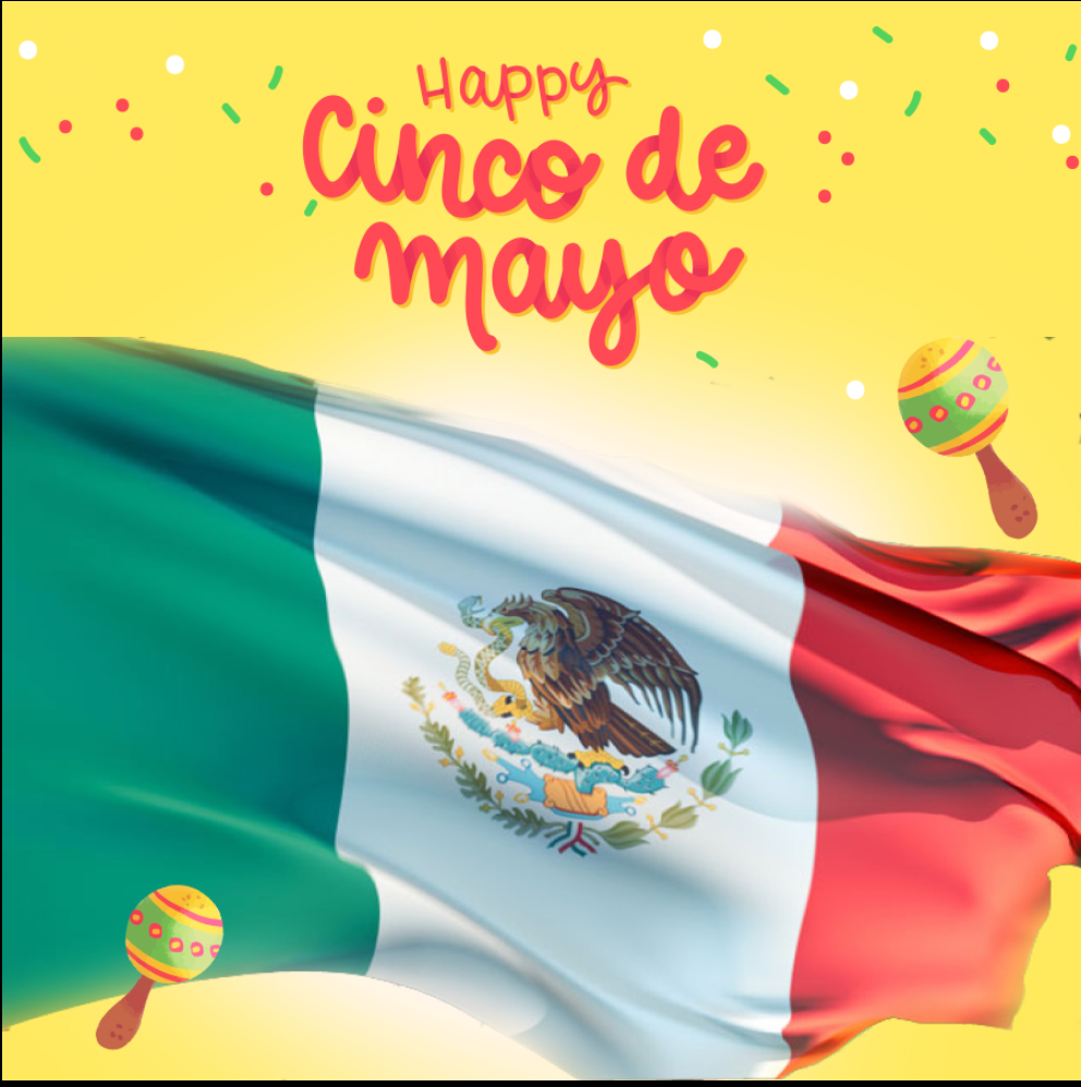 CINCO DE MAYO BACKDROP 001 - Twins Print