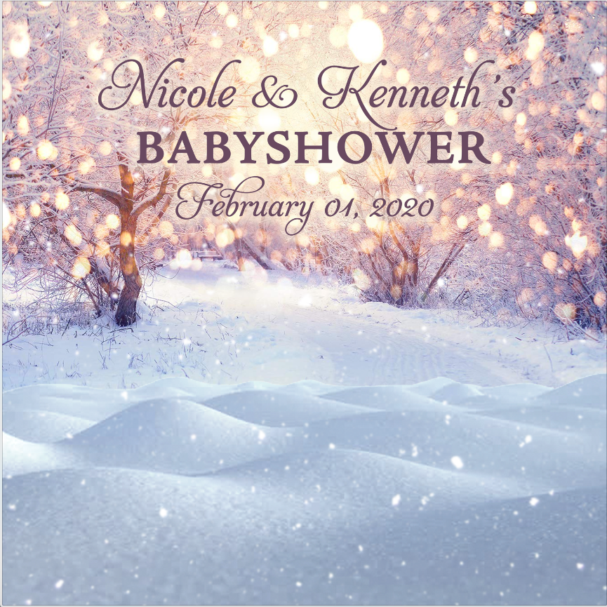 WINTER WONDERLAND BACKDROP 003 - Twins Print