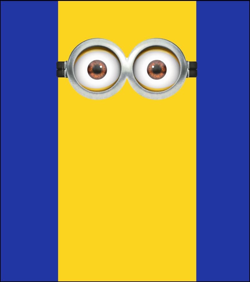 MINION'S PARTY BACKDROP - Twins Print